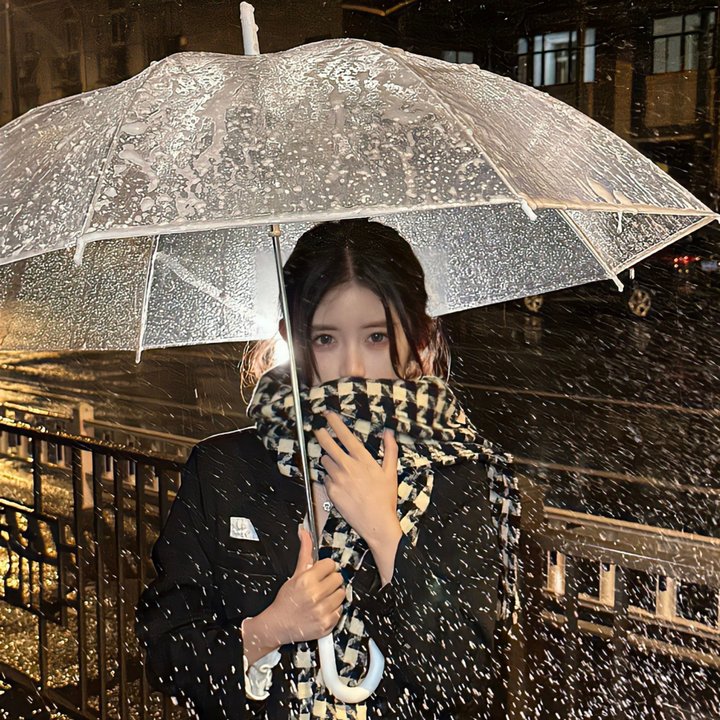 灵异女仆第四季 封面