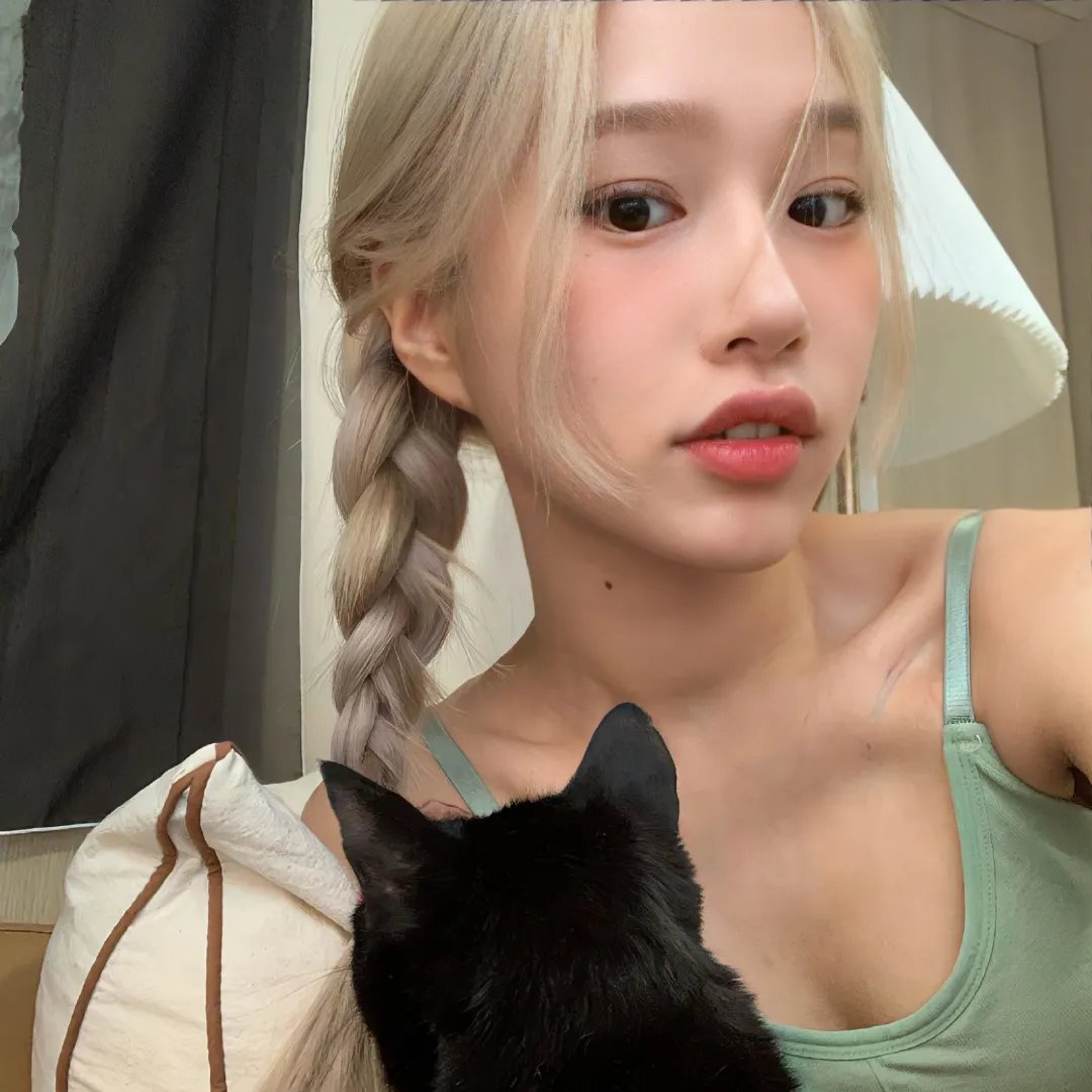 固执的爱 封面